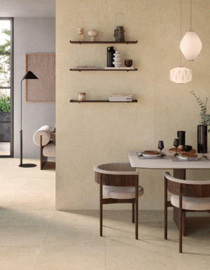 Alternative view of EARTH TERRA